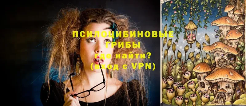 Псилоцибиновые грибы Magic Shrooms  купить закладку  Энем 